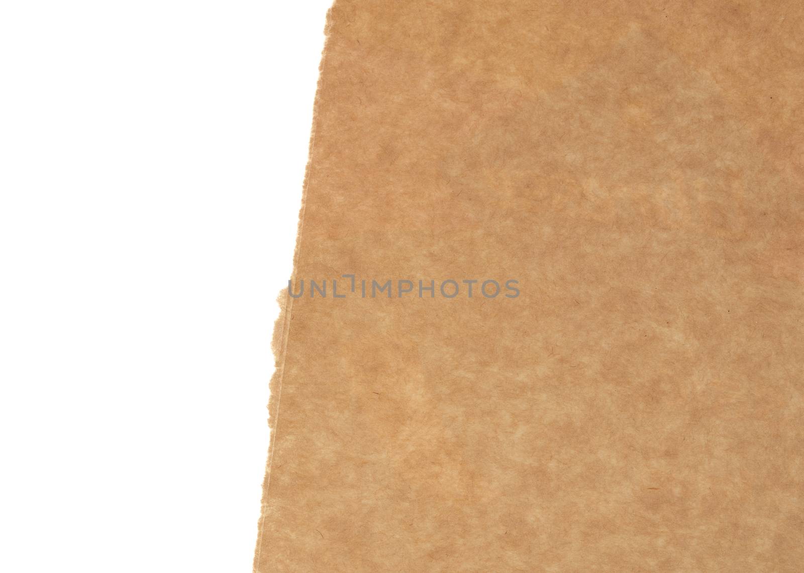 torn edges of corrugated cardboard paper with white background, abstract backdrop template