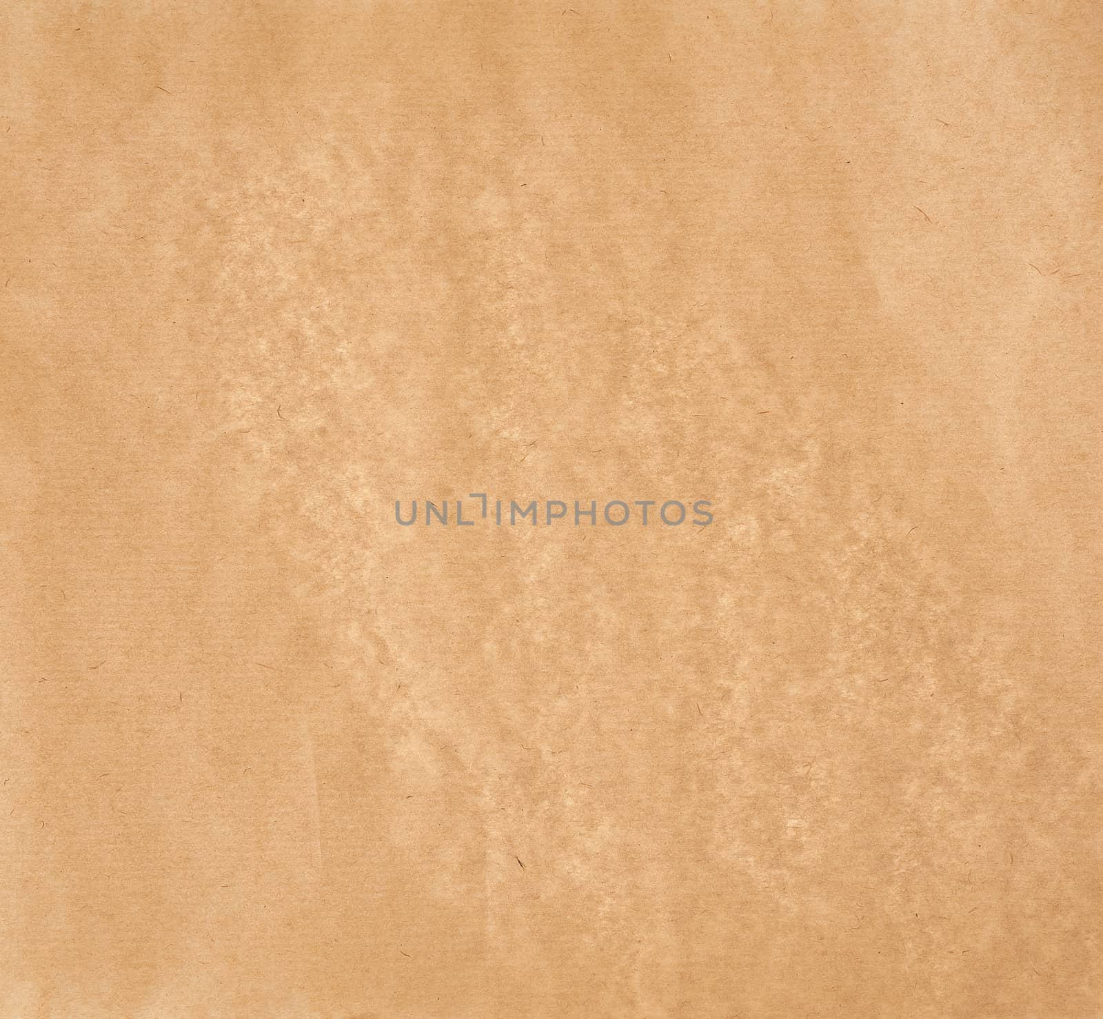 texture of light brown smooth parchment paper, full frame, close up