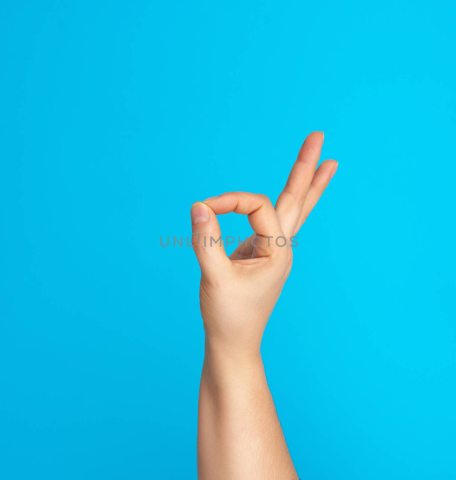 hand shows ok symbol on a blue background, positive emotion by ndanko