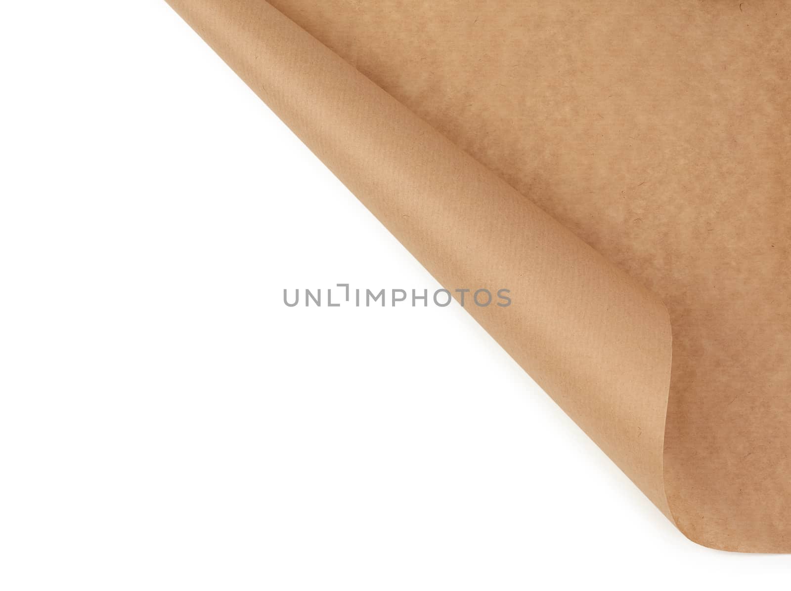curved edge of a brown parchment paper sheet is isolated on a white background, place for an inscription