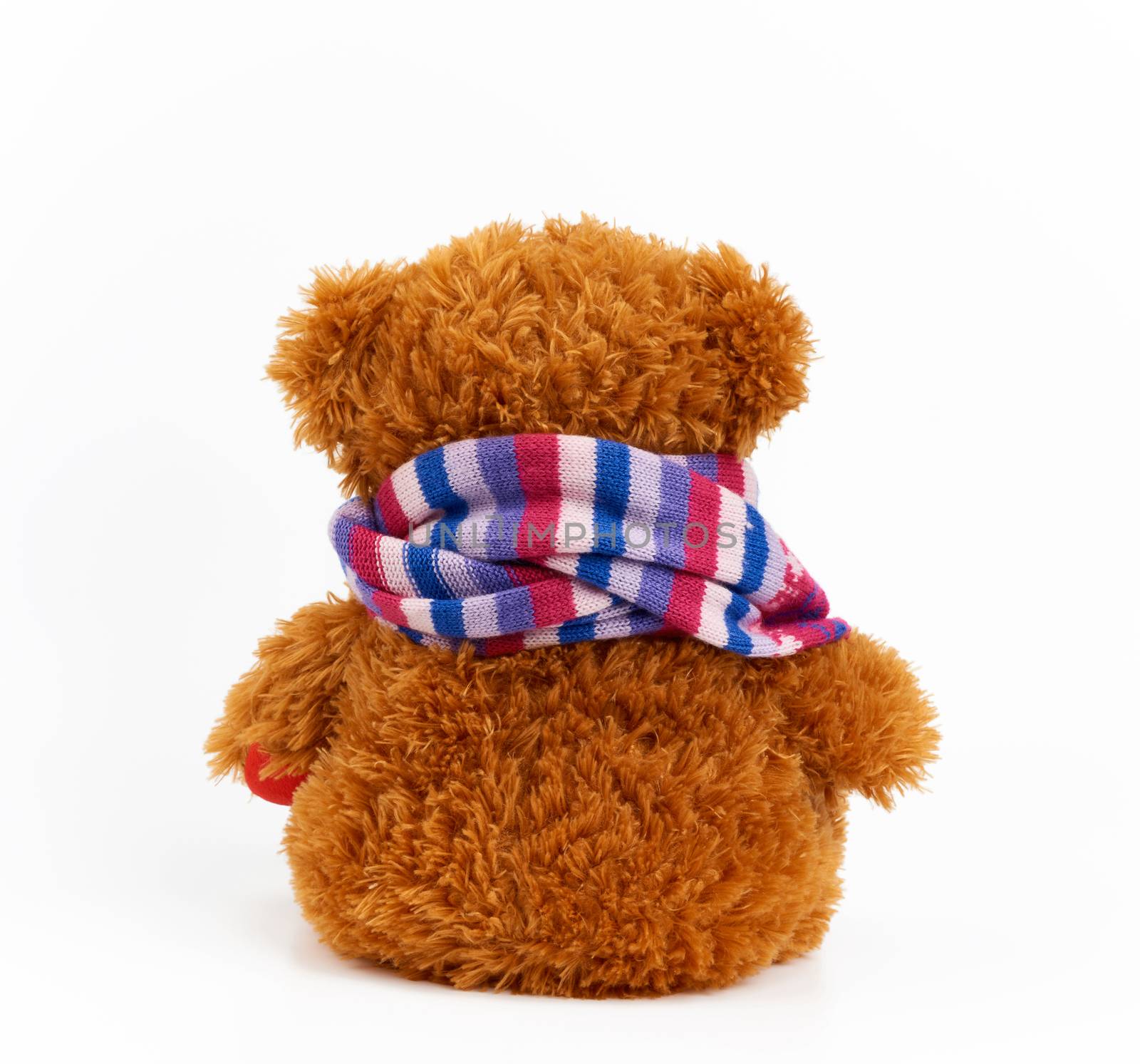 curly brown teddy bear sits with its back on a white background, knitted multi-colored scarf is tied around the neck of a children's toy