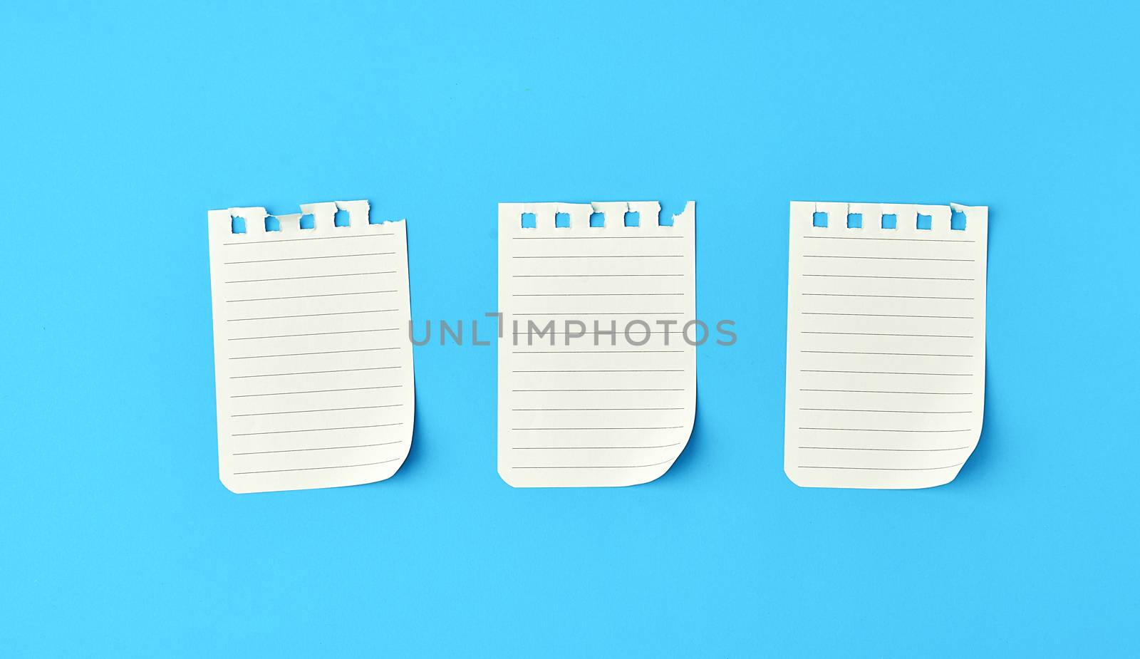 empty white sheets in a line torn out of notepad on a blue background, flat lay