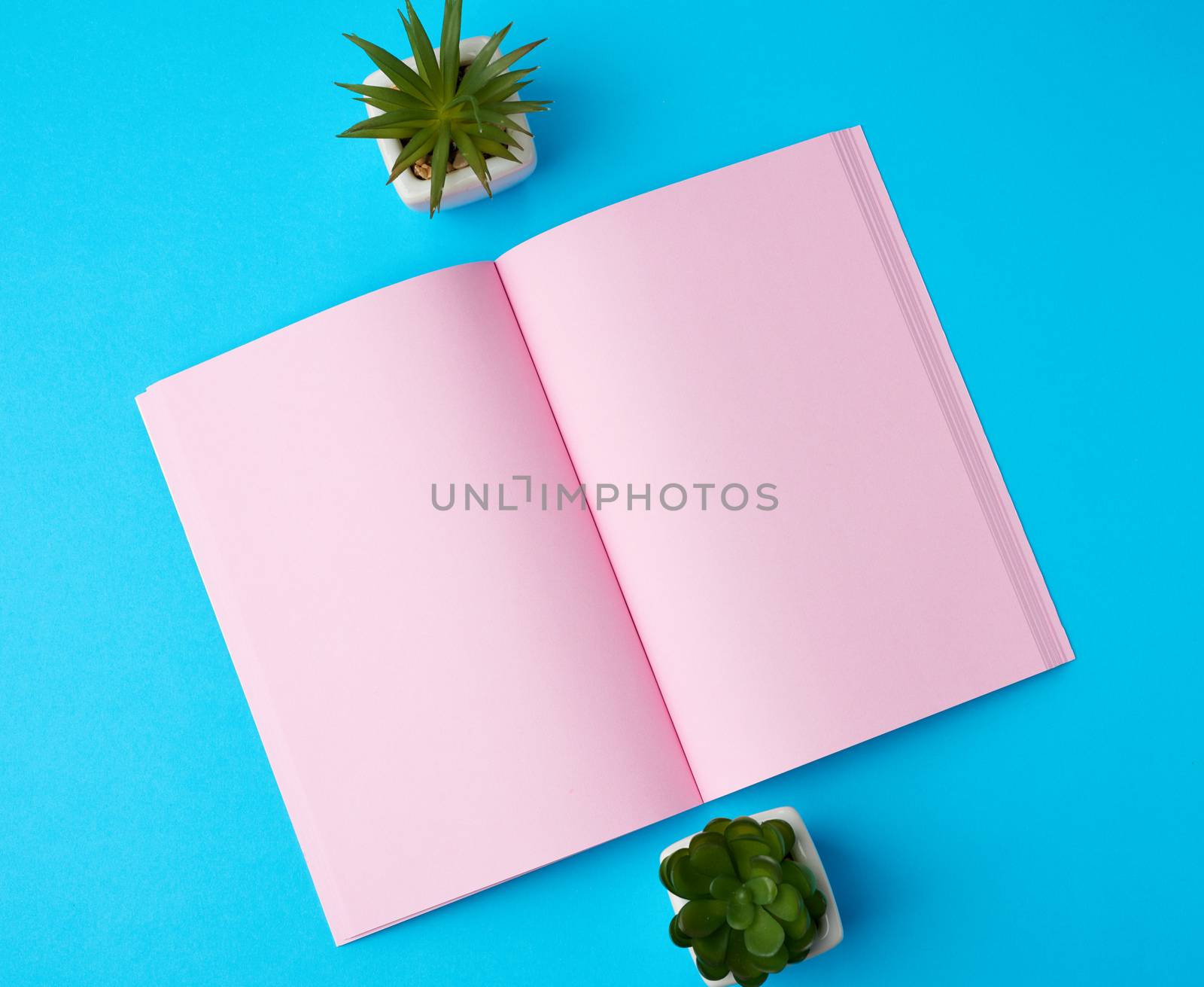 open notebook with blank pink pages on a blue background, top view, flat lay