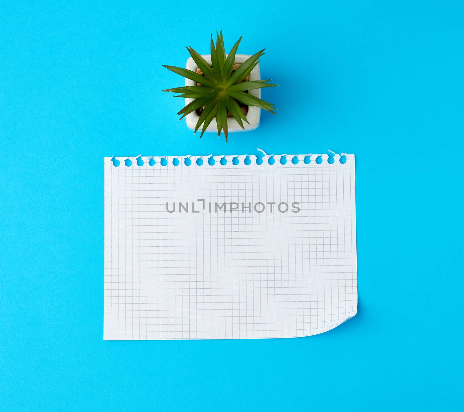 empty rectangular white sheet torn out of notepad on a blue background, top view 
