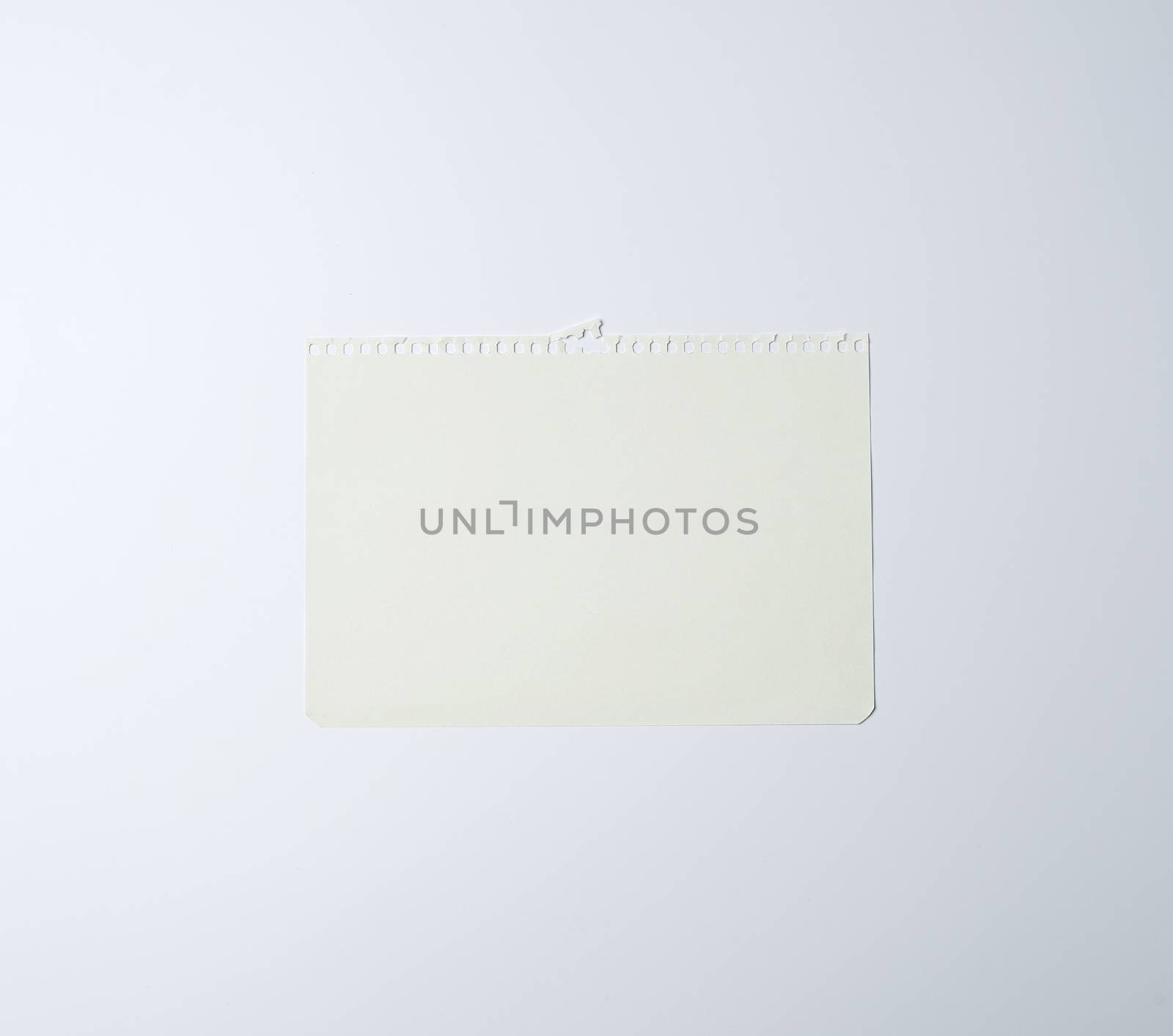 white sheet of paper torn from a spiral notebook on a white background, place for text