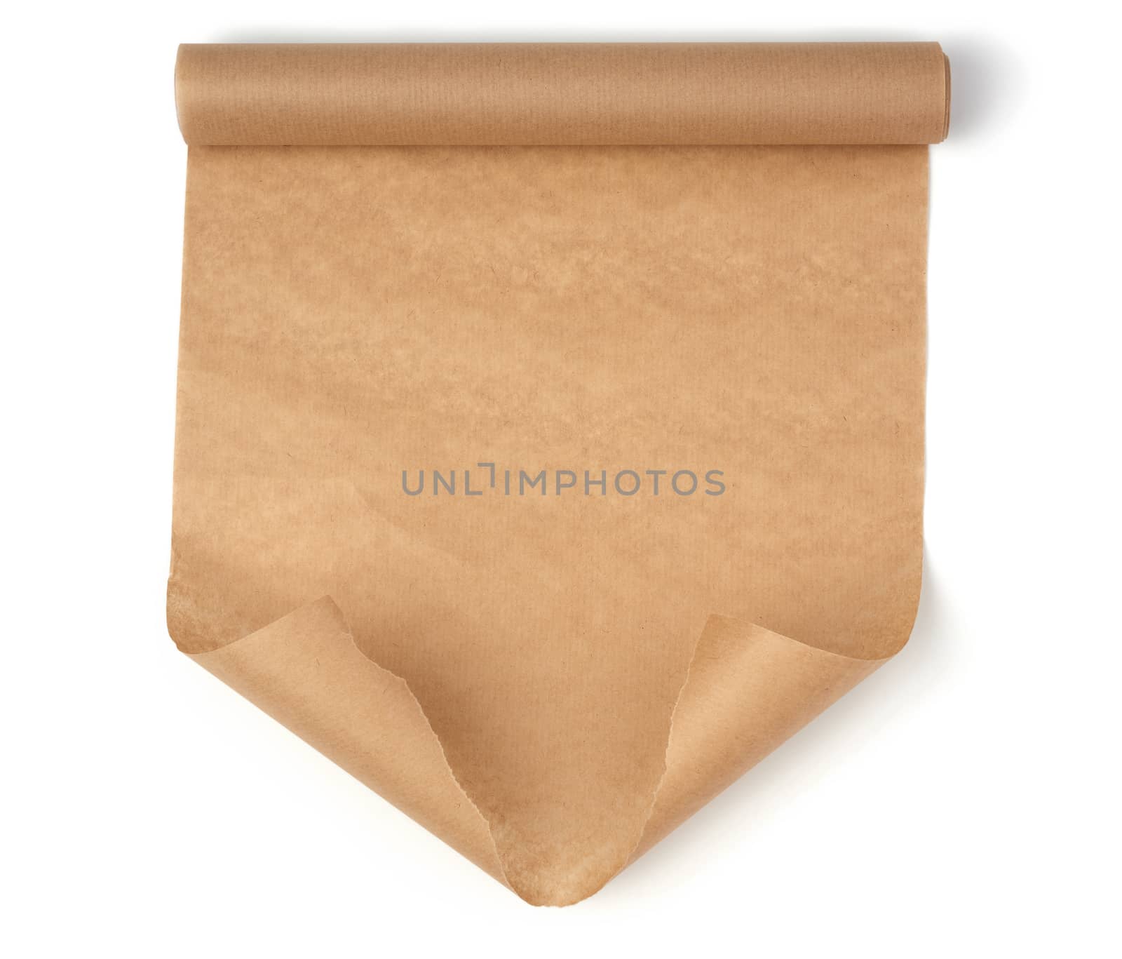 curled roll of brown parchment paper with curled edges isolated on a white background, place for an inscription, element for a designer