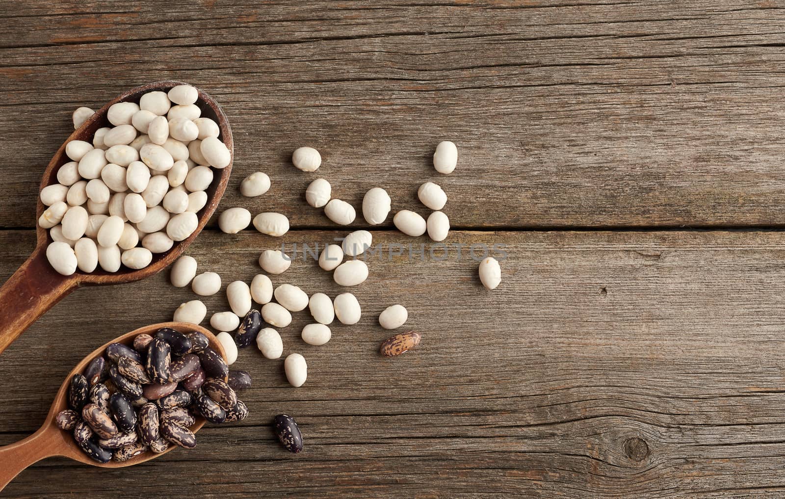 oval and round brown and white beans in a wooden spoon on a gray background from boards, top view