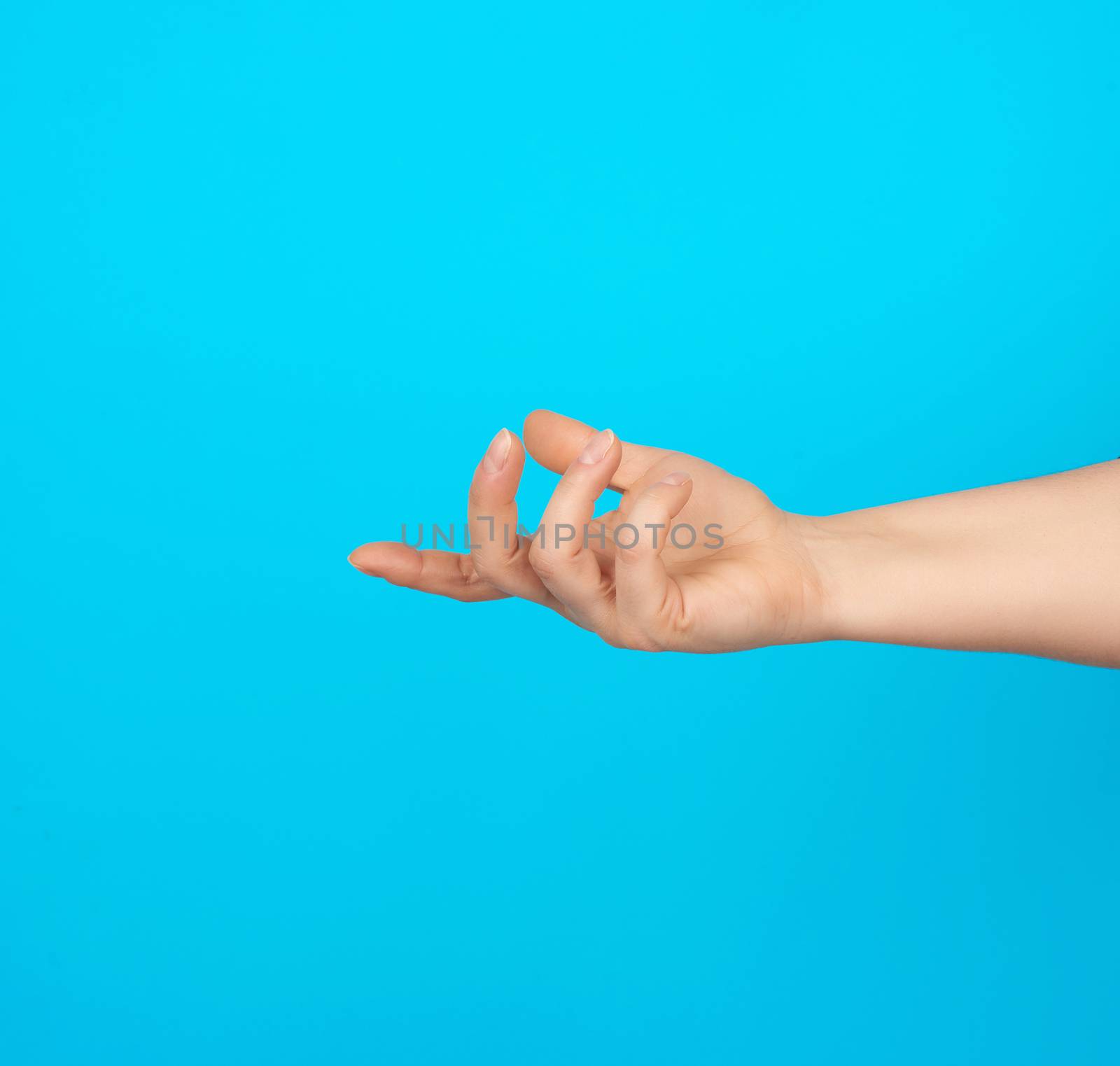 female hand stretches fingers to the subject on a blue background, concept of unity