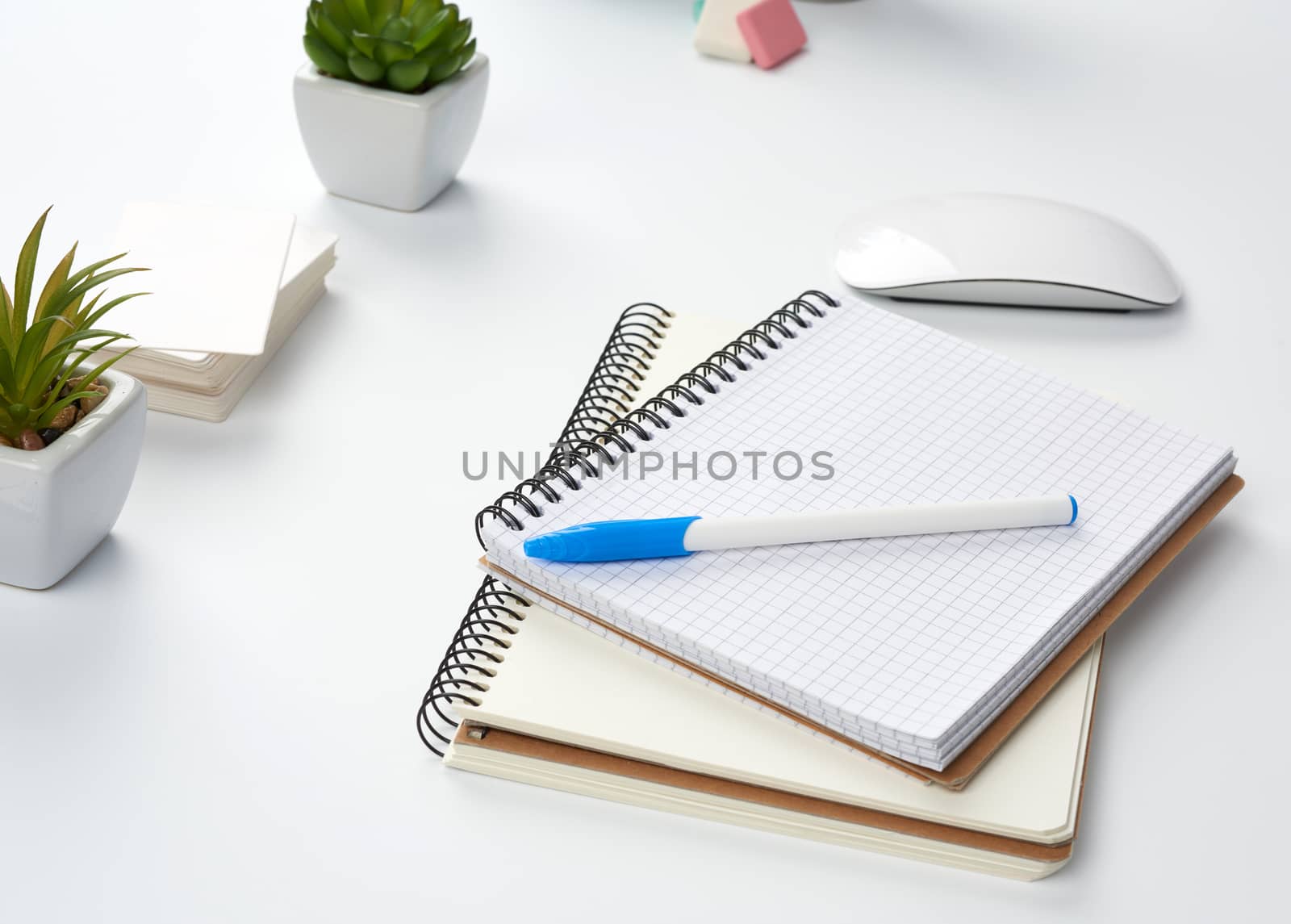 open paper notebooks and pen, computer mouse and green plants in a flowerpot on a white table, freelancer workplace