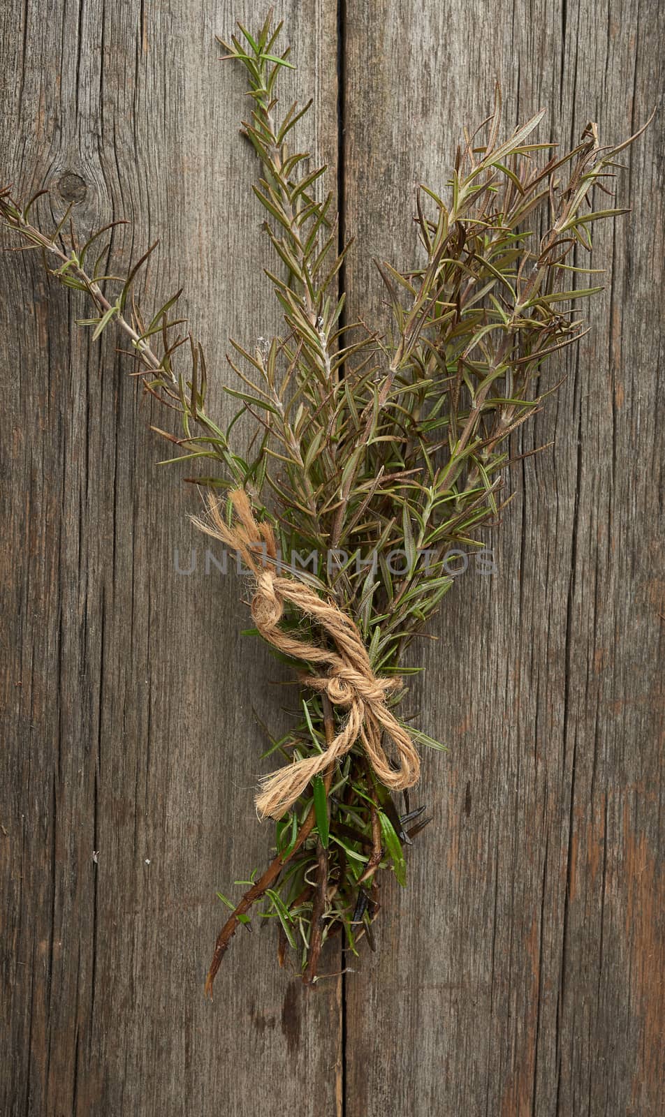 fresh green sprigs of rosemary tied with a brown rope and lie on a gray wooden table from old boards, top view, aromatic spice
