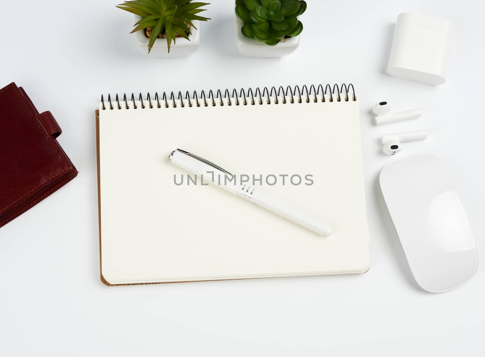 open paper notebooks and pen, computer mouse and green plants in a flowerpot on a white table, freelancer workplace