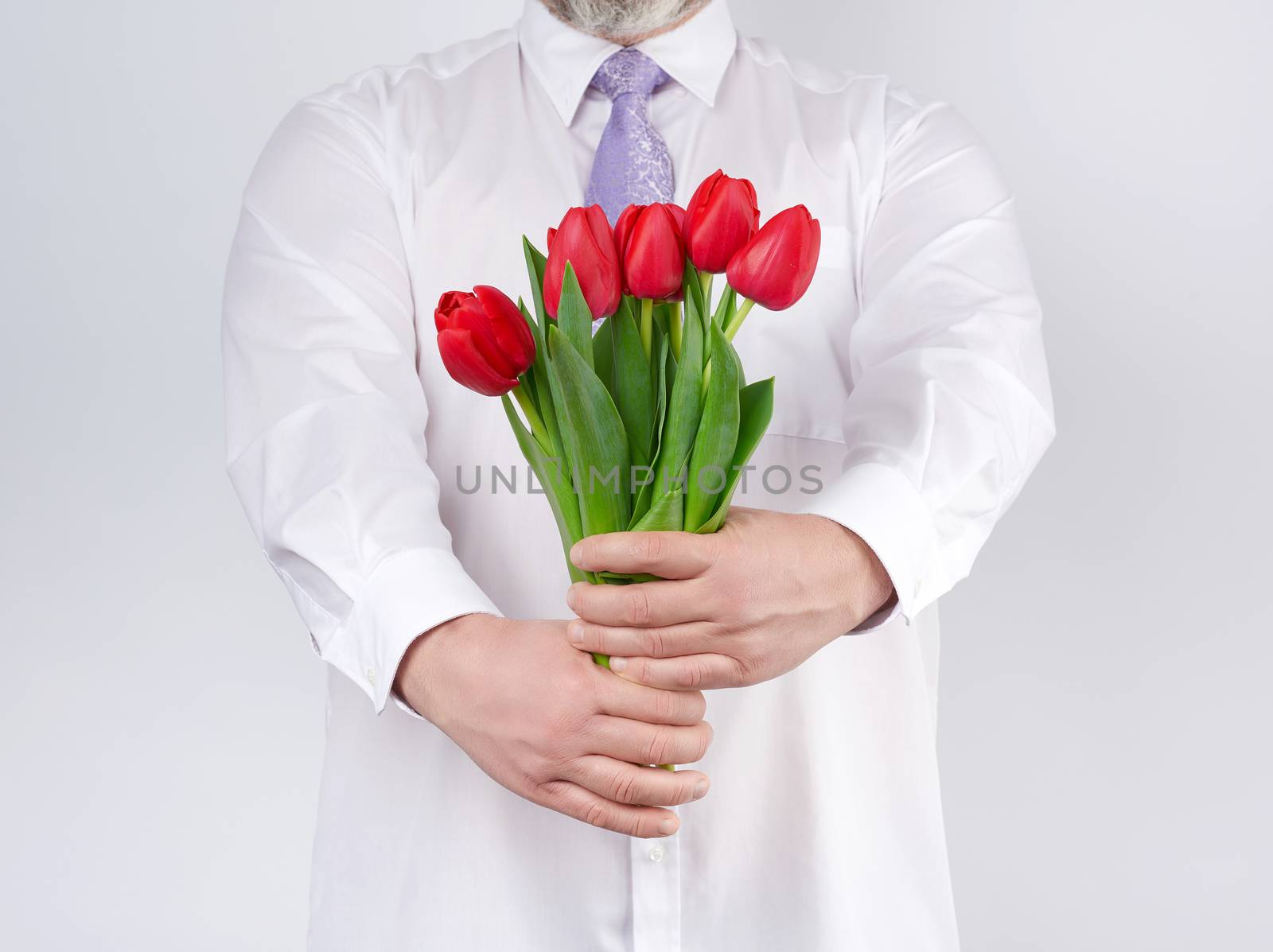adult man in a white shirt and a lilac tie holding a bouquet of red tulips with green leaves on a white background, concept for happy birthday, anniversary, valentines day