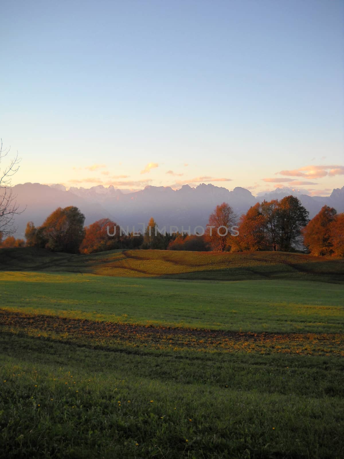 Beautiful and natural Garden in the dolomites at sunset time