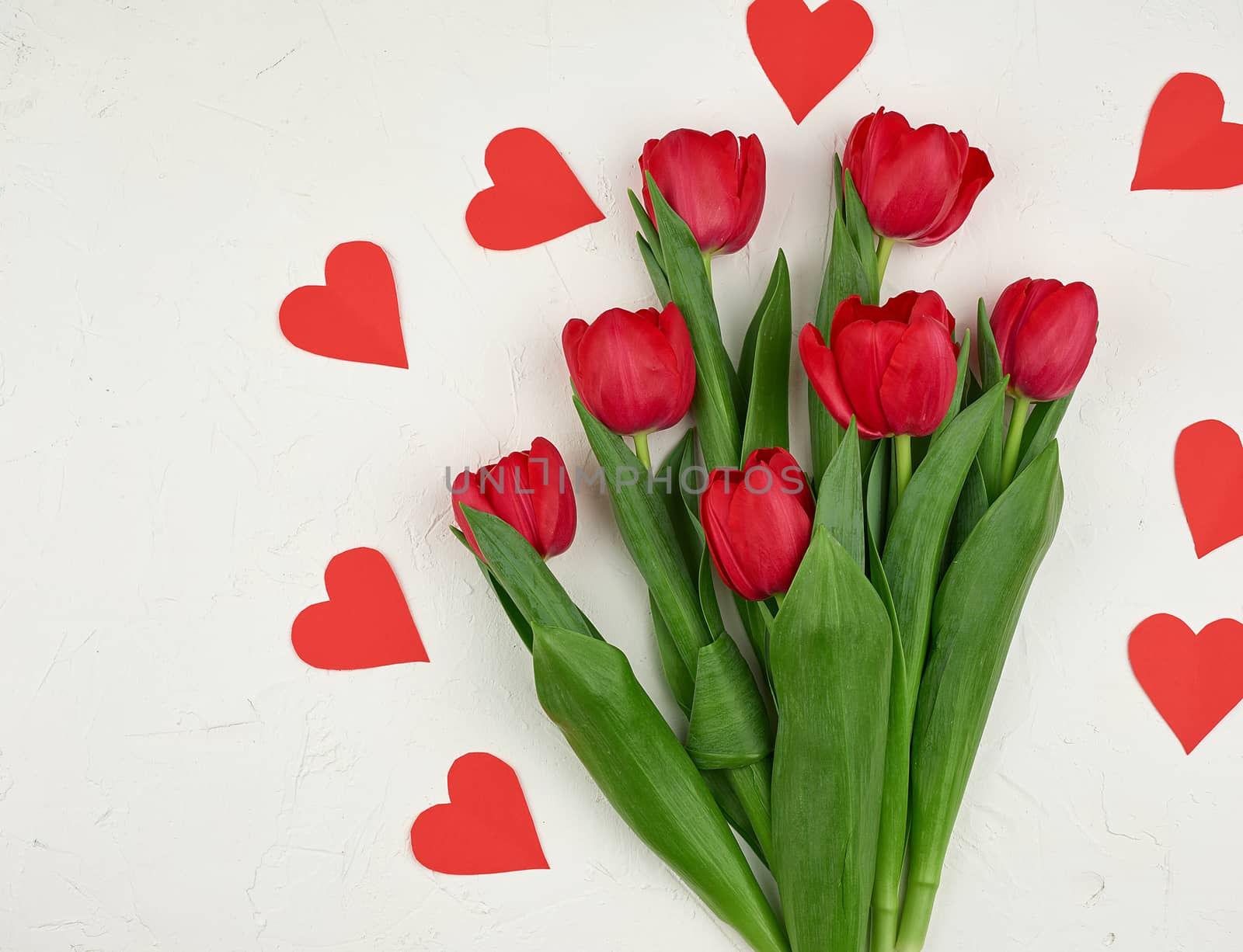bouquet of red blooming tulips with green stems and leaves and red paper heart on a white cement background. Festive backdrop for birthday, Valentine's day