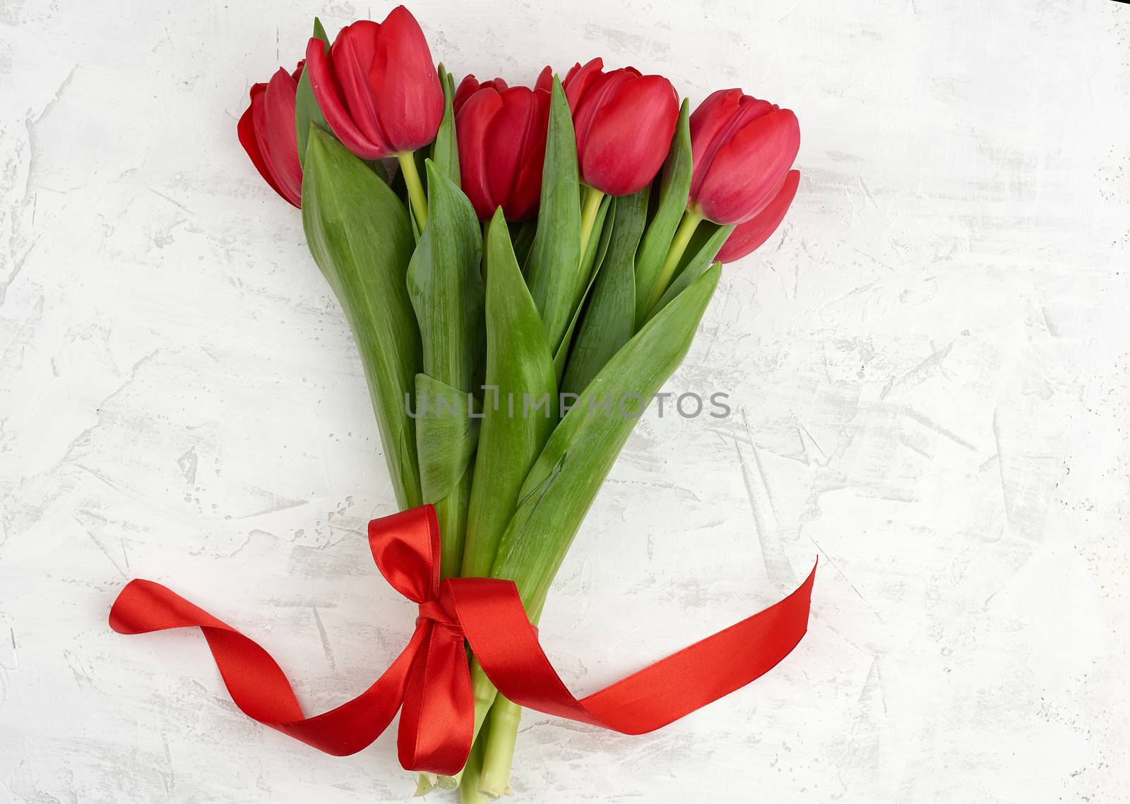 bouquet of red blooming tulips with green stems and leaves on a white cement background. Festive backdrop for birthday, Valentine's day, anniversary