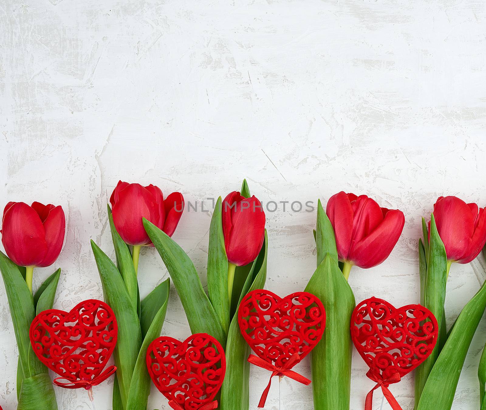 bouquet of red blooming tulips with green stems and leaves and red heart on a white cement background. Festive backdrop for birthday, Valentine's day, anniversary