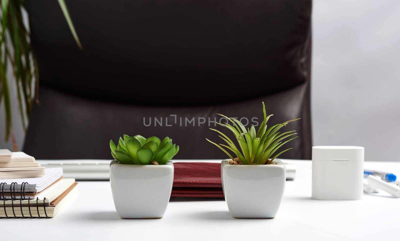 executive workplace, empty brown leather armchair, notepads on white table, flowerpots with green plants