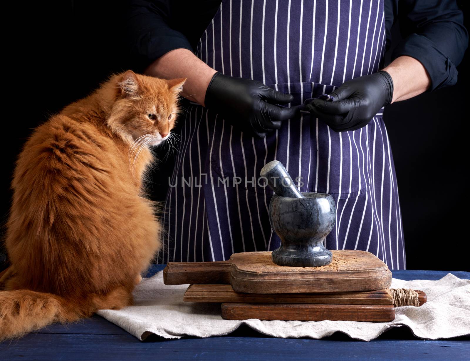 adult red cat sits on a table where a cook in a black uniform prepares food, black background
