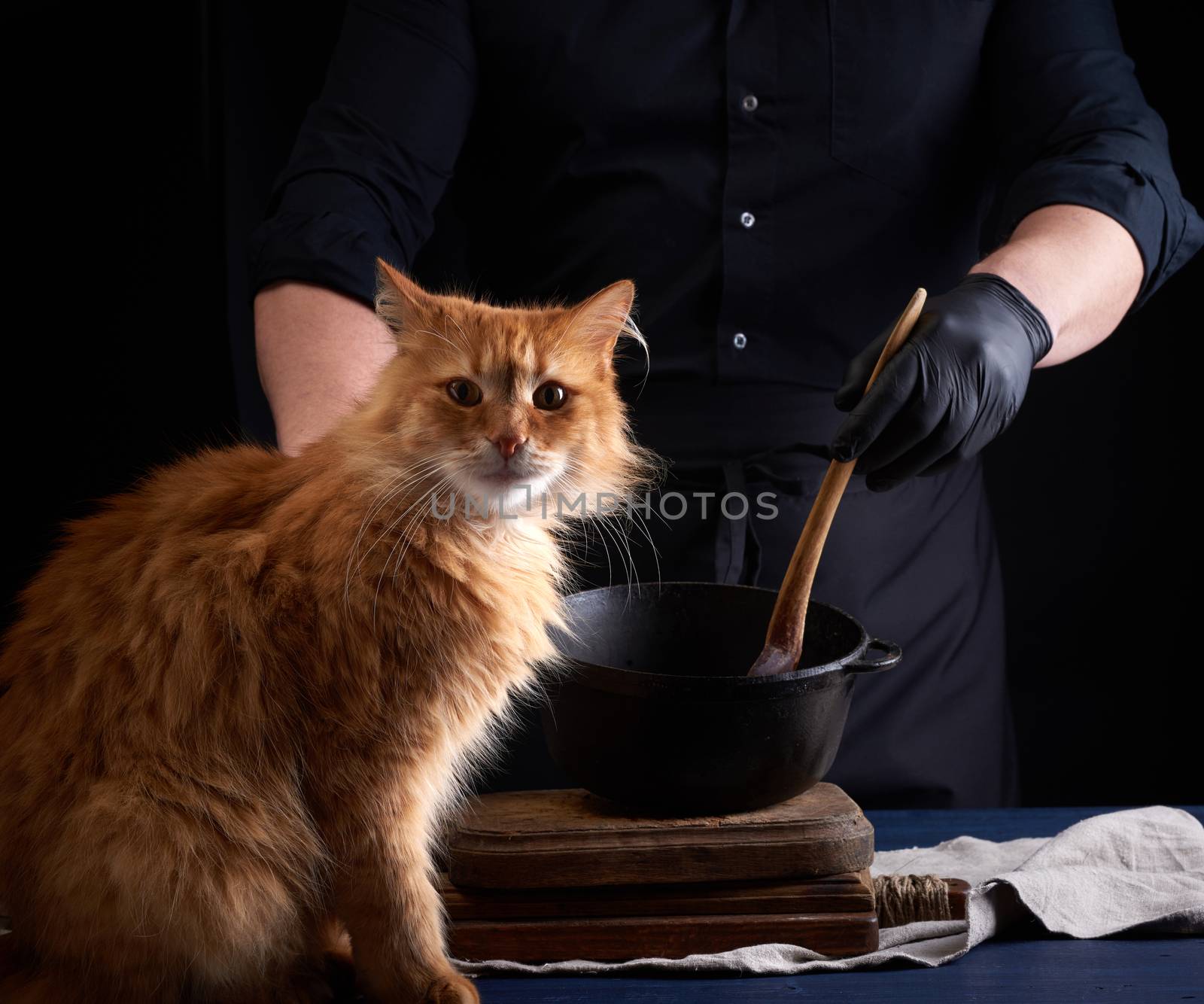 adult red cat sits on a table where a cook in a black uniform prepares food in a cast-iron skillet
