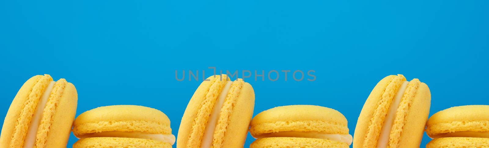halves of baked round yellow lemon macaron on a blue background, exquisite and delicious French dessert, banner