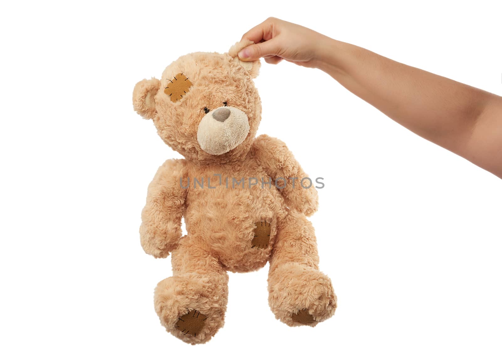 female hand holds the ear of a big beige cute teddy bear with patches, toy is isolated on a white background