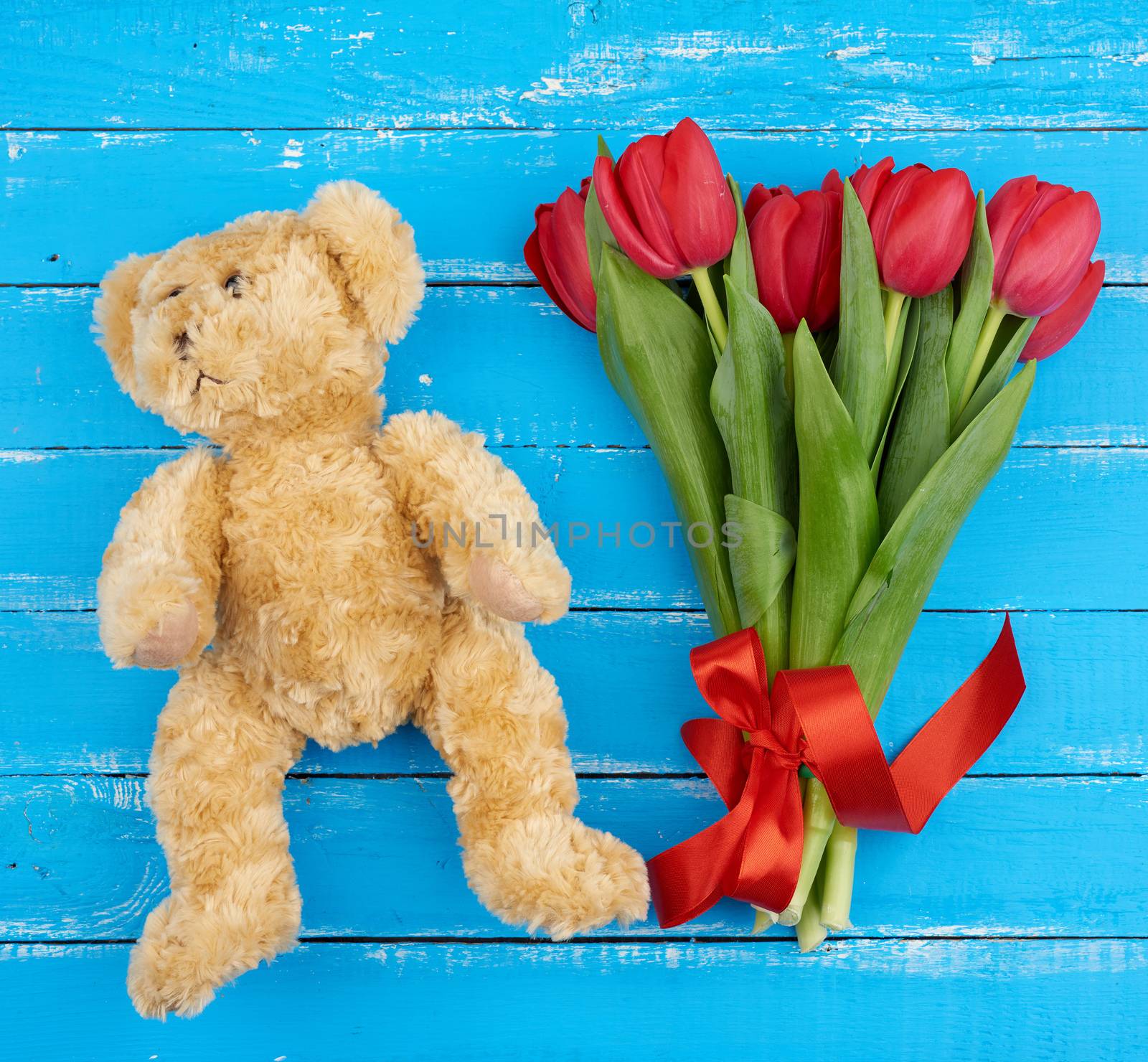 cute brown teddy bear and bouquet of red blooming tulips with green stems and leaves tied with a red silk ribbon, flowers lie on a blue wooden background, top view