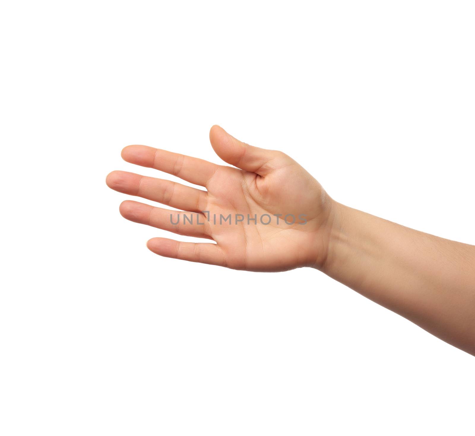outstretched hand of man, open hand, part of the body isolated on white background, close up