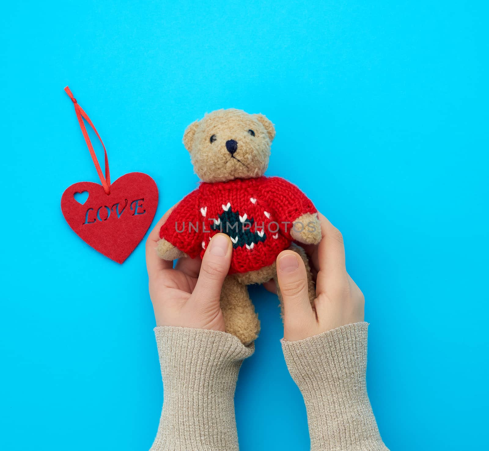 two female hands hold a small brown toy teddy bear on a blue background, top view