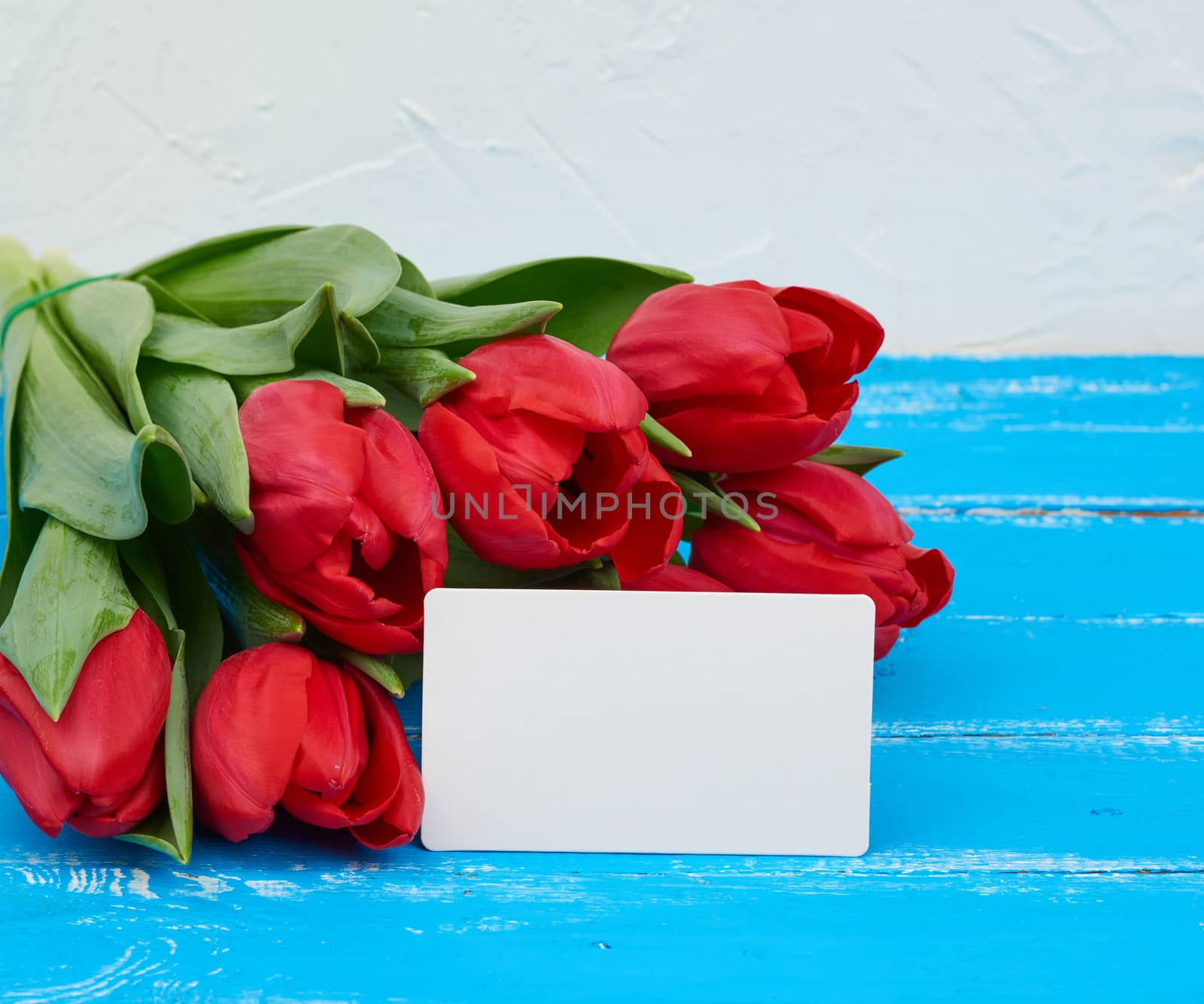 bouquet of red blooming tulips with green stems and leaves, flowers lie on a blue wooden background, and white blank paper business card, copy space