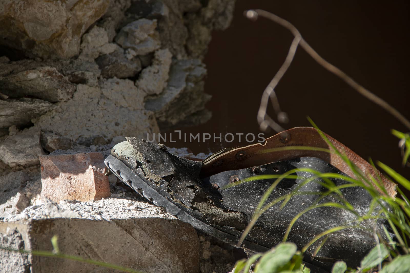 Old shoe abandoned in the woods in the Dolomites in Italy