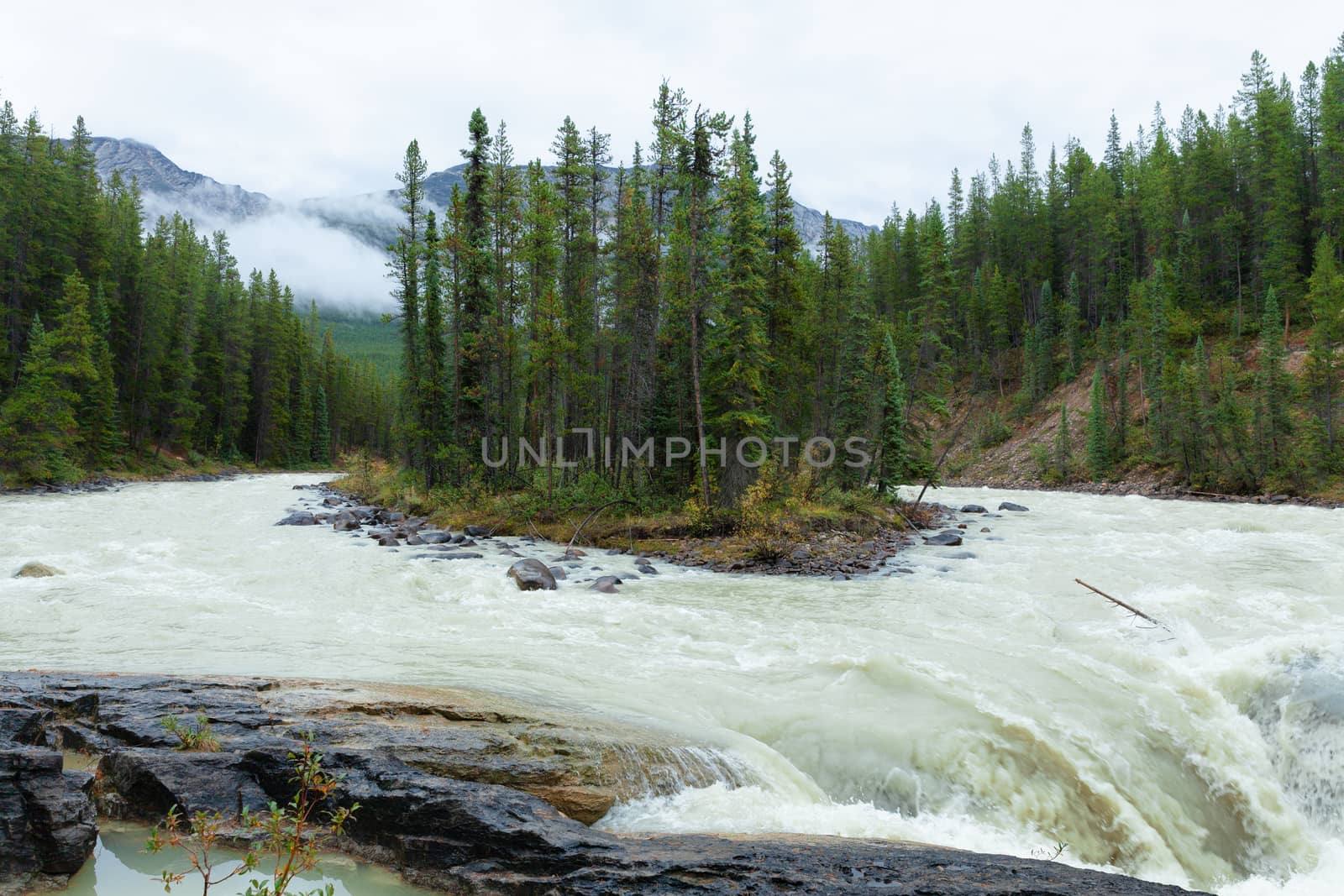 Sunwapta Falls, Jasper, Alberta, Canada by vlad-m