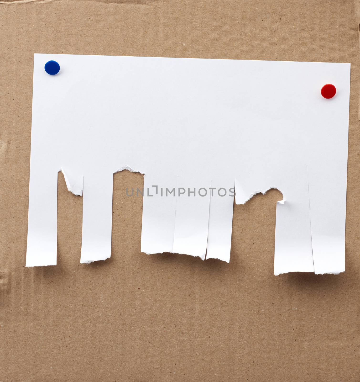 blank paper ad with torn edges, backdrop for sales and messages. Sale banner layout design. Blank template.