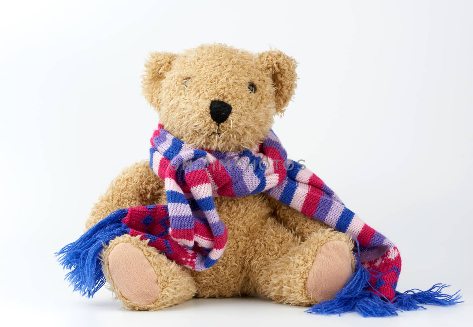 cute brown teddy bear in a colored knitted scarf sitting on a white background, close up