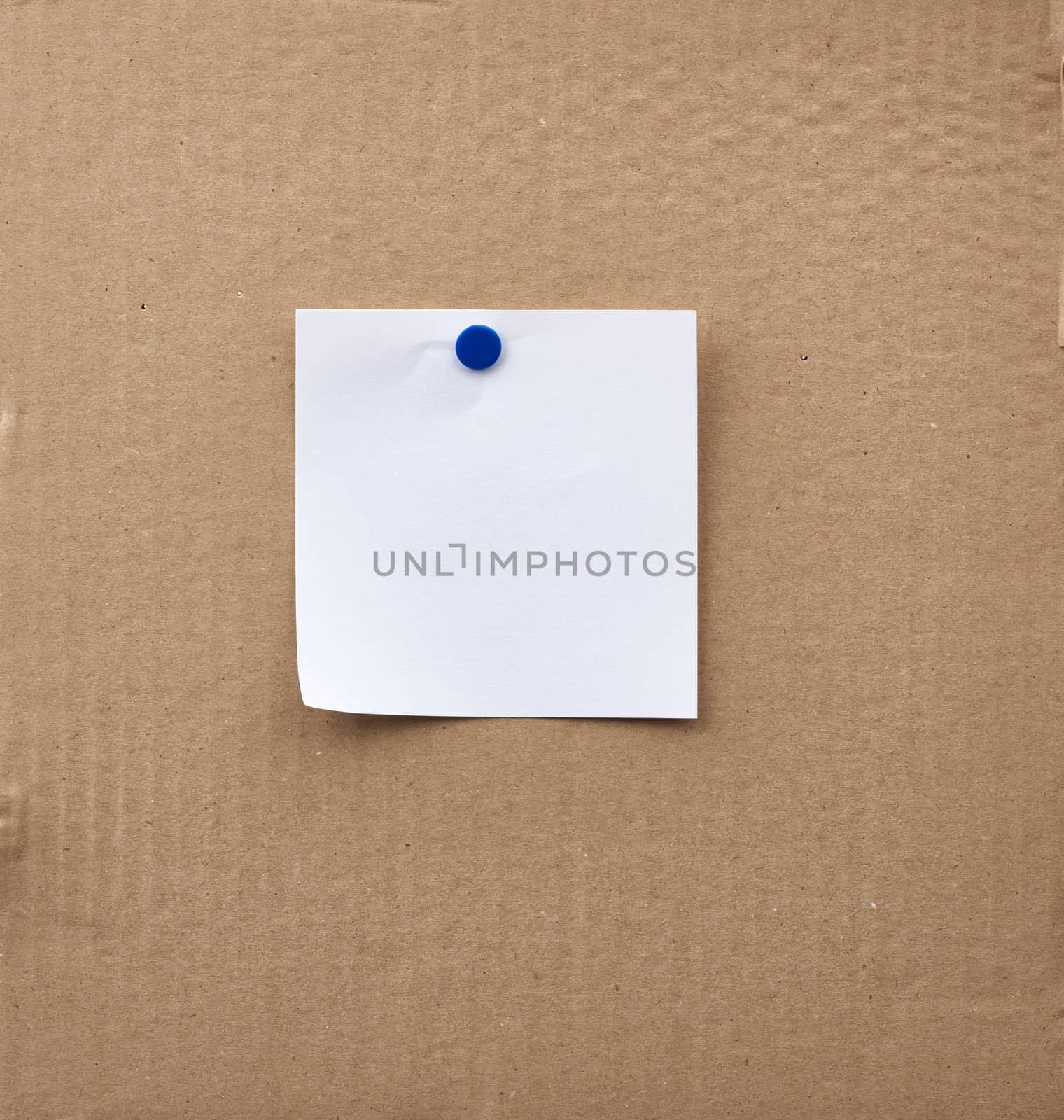 blank square white sheet of paper attached with an iron button by ndanko