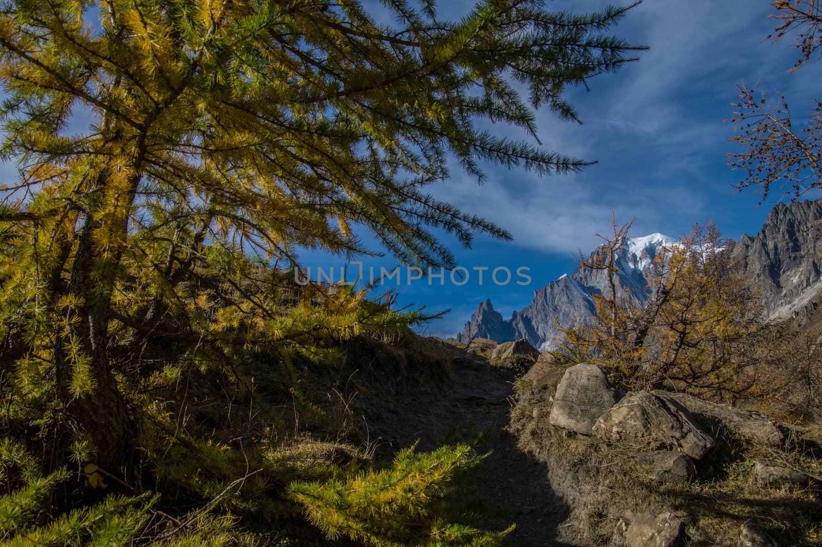 refuge bonatti,courmayeur,italy