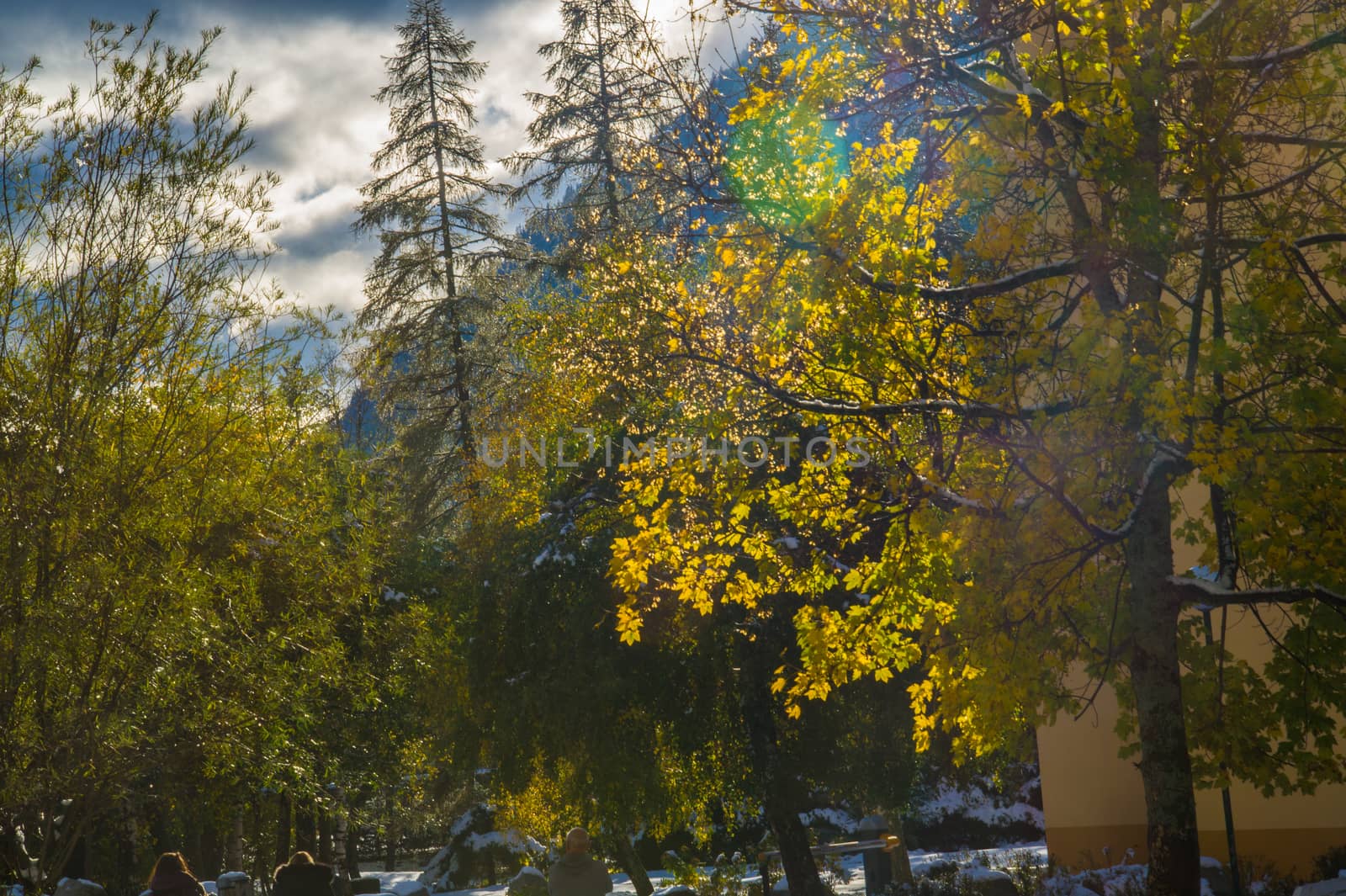 argentiere,chamonix,haute savoie,france