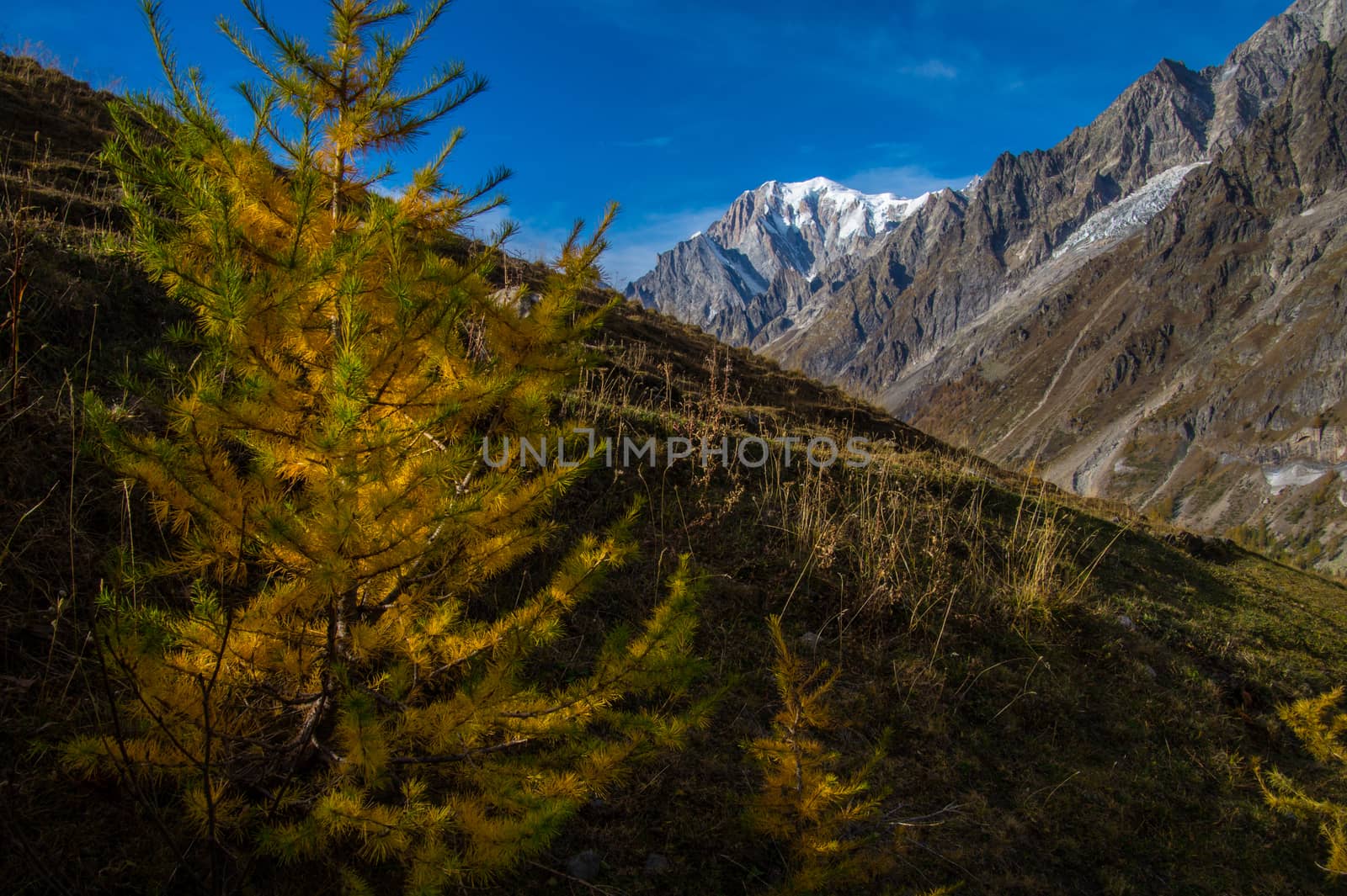 refuge bonatti,courmayeur,italy