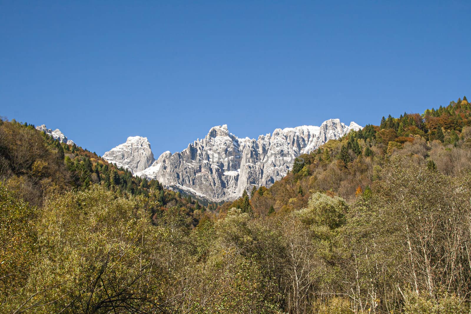 Mountain detail on Dolomites during day time in autumn