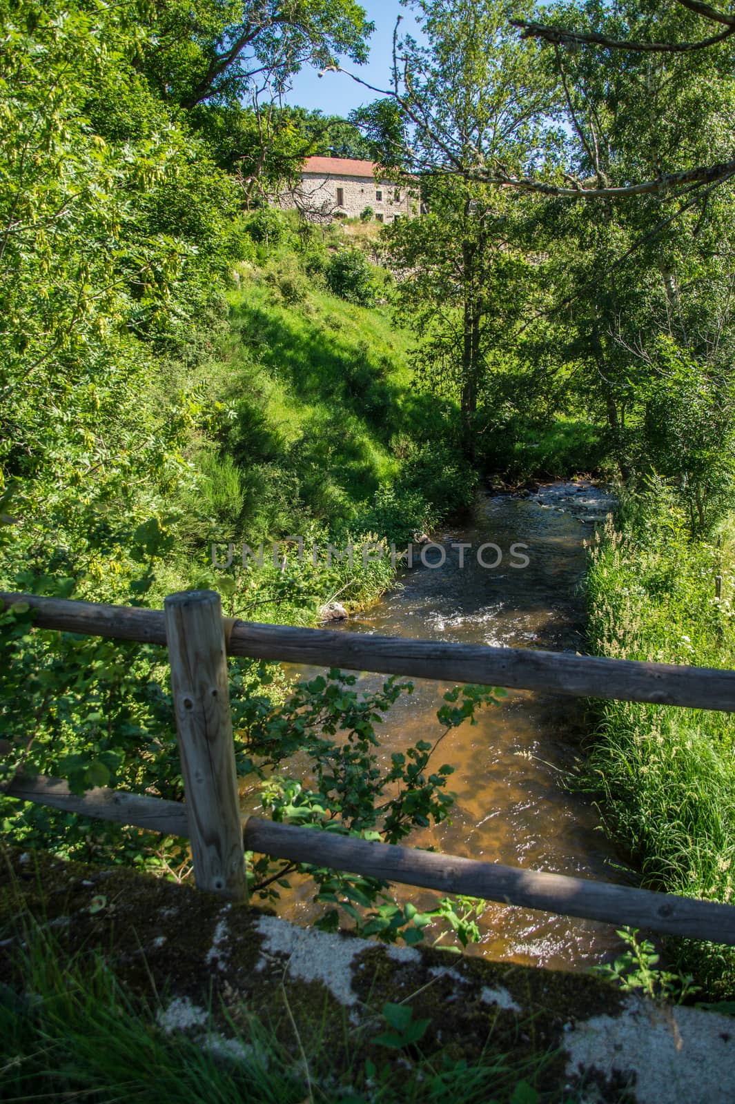 massif of the daisy in lozere