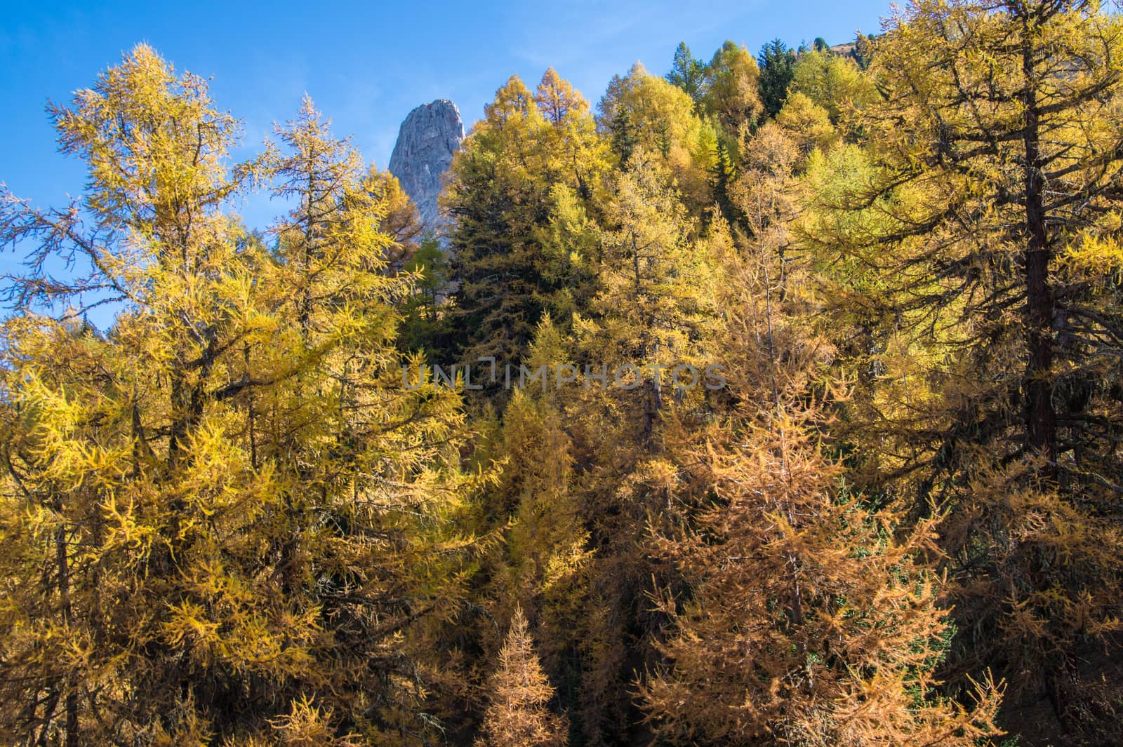 col of lien,valais,swiss
