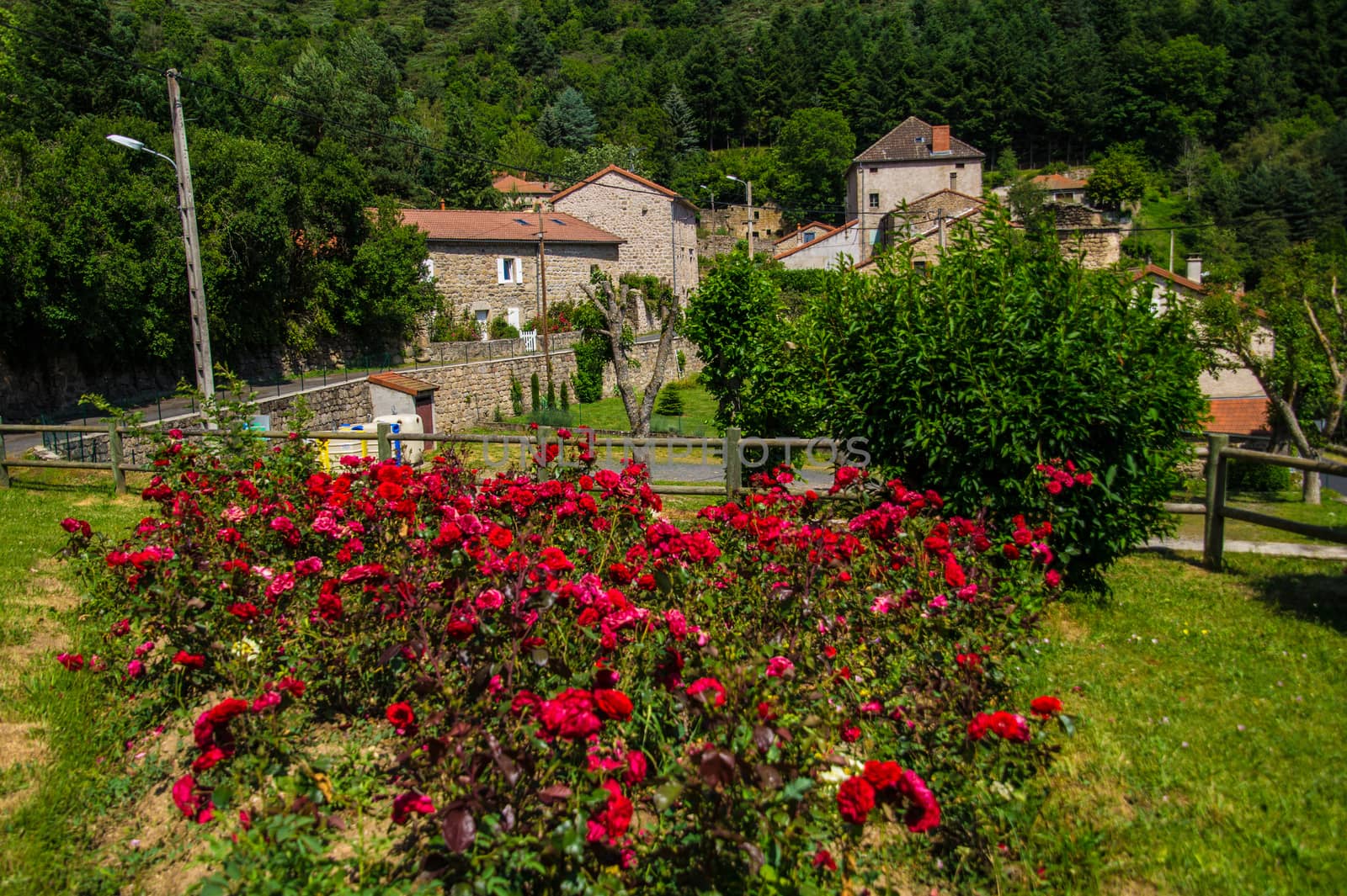 massif of the margueride in lozere