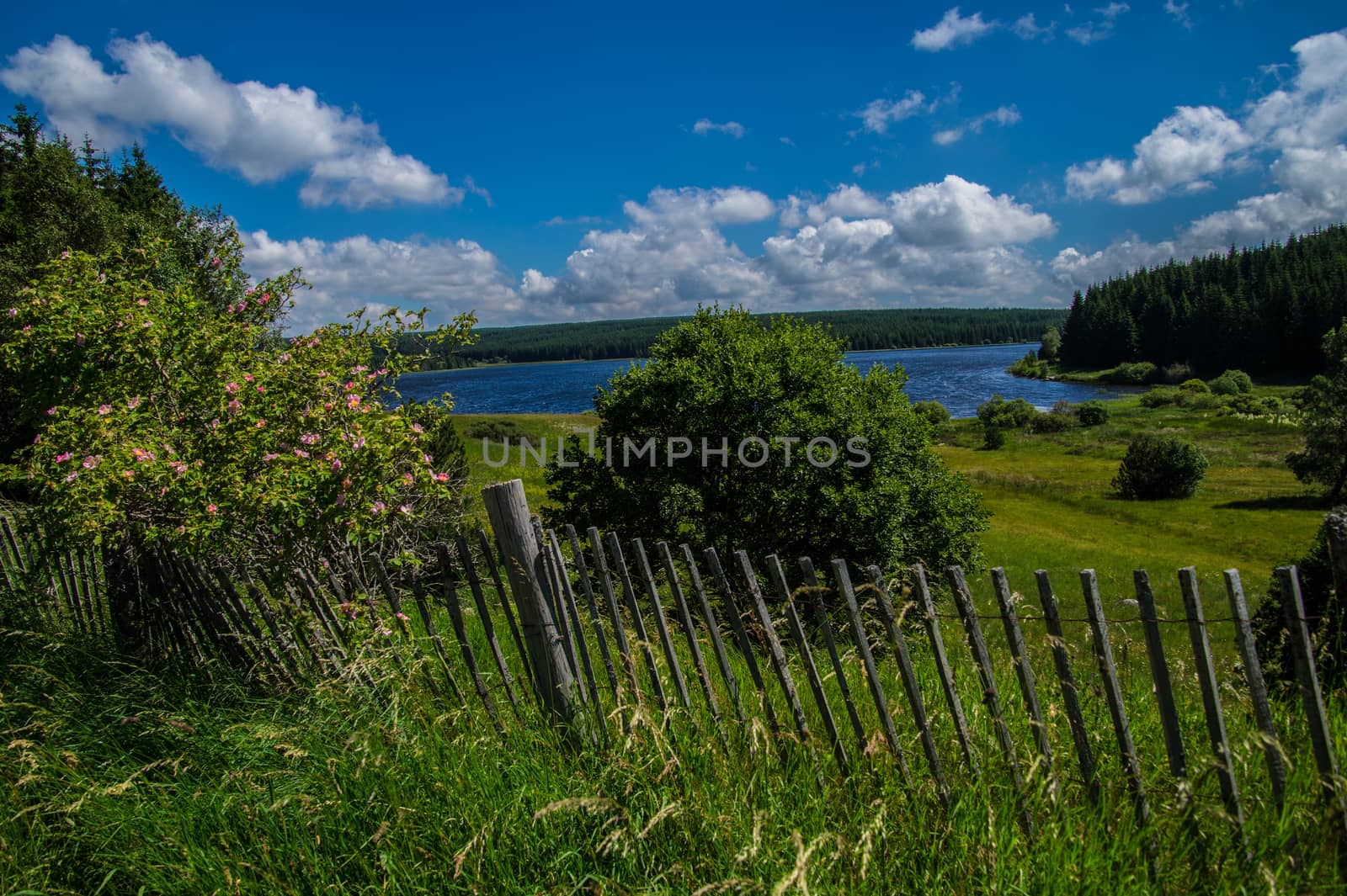 lake of charpal in margueride in lozere