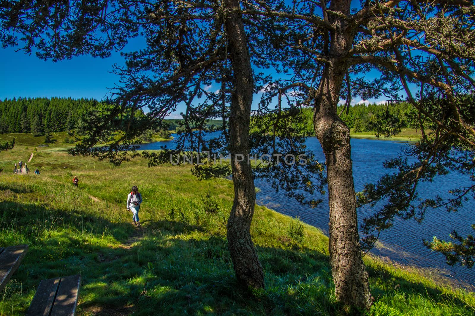 lake of charpal in margueride in lozere