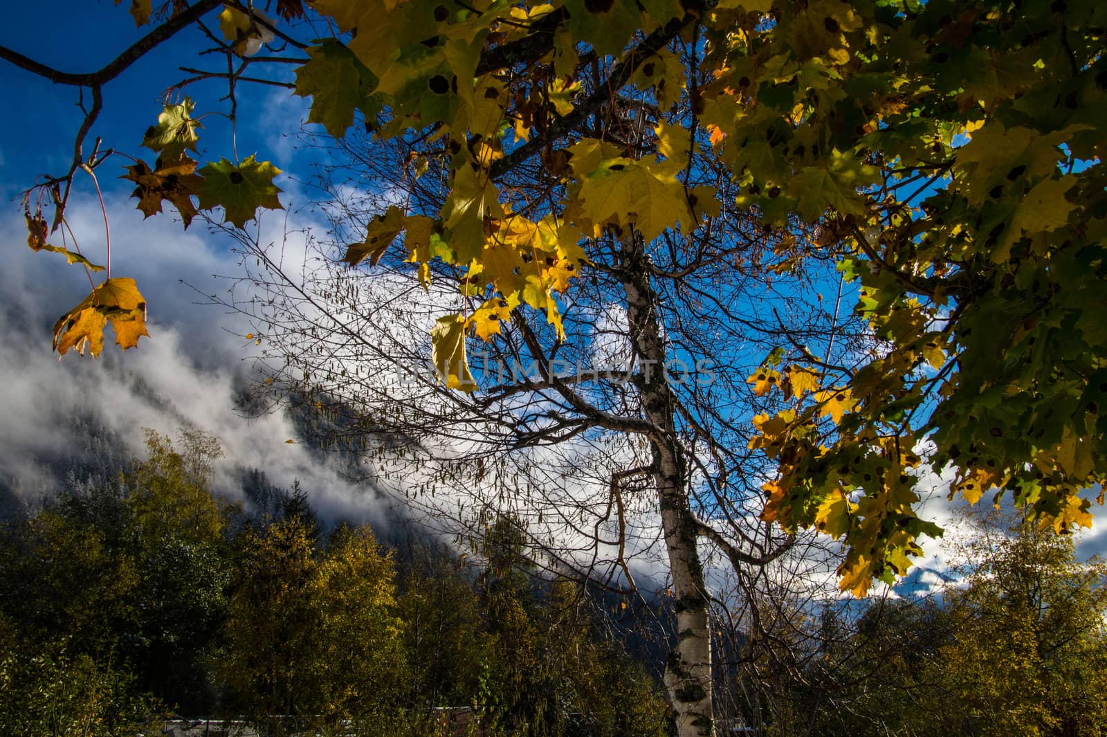 argentiere,chamonix,haute savoie,france