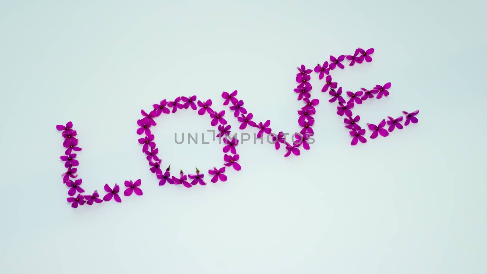 Word love made of flowers.Lilac flowers on a white background