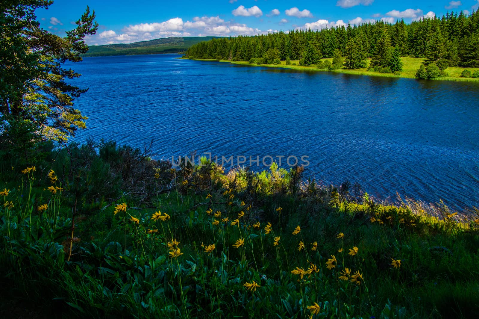 lake of charpal in margueride in lozere