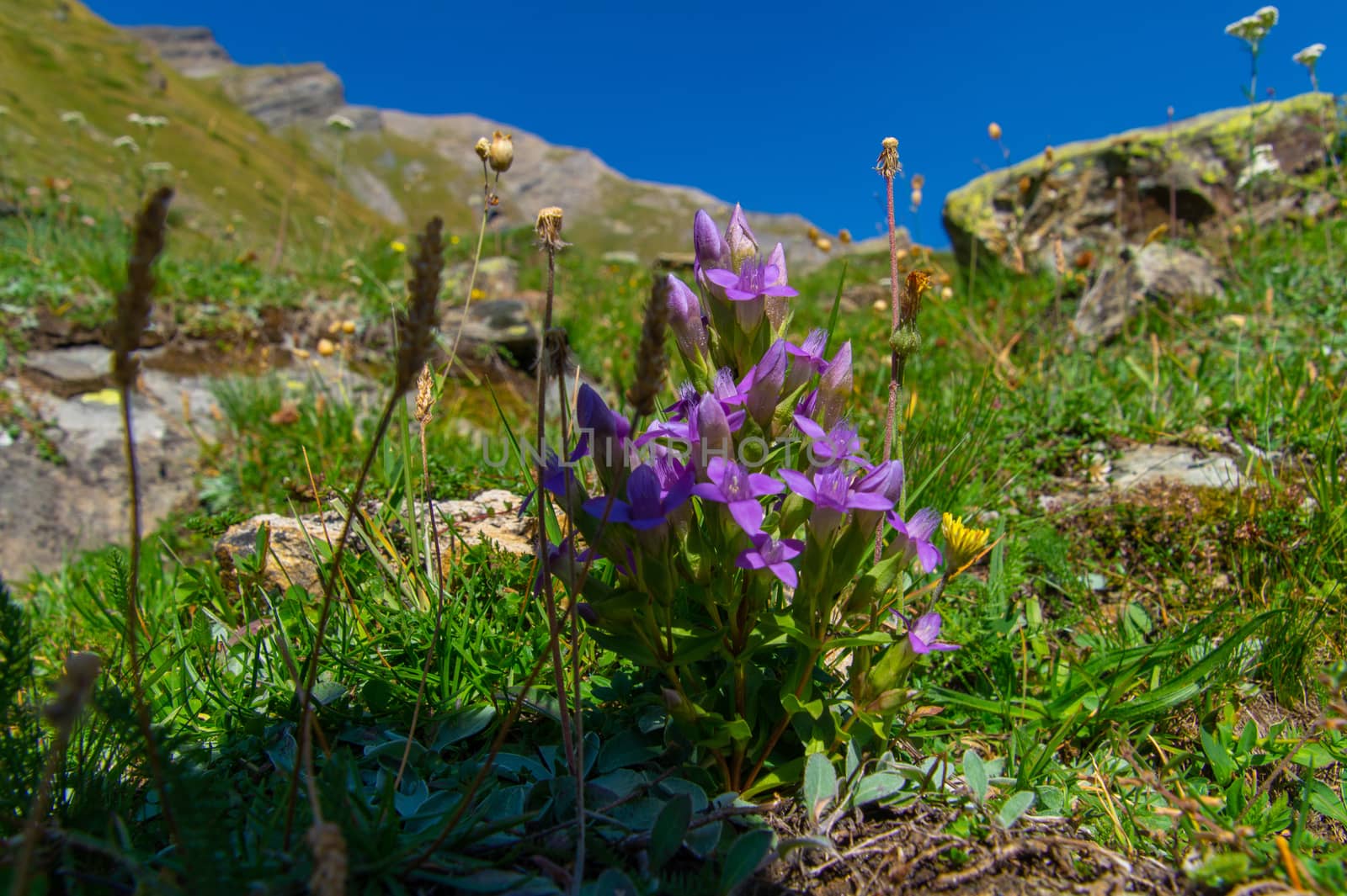 planaval,val aoste,italy