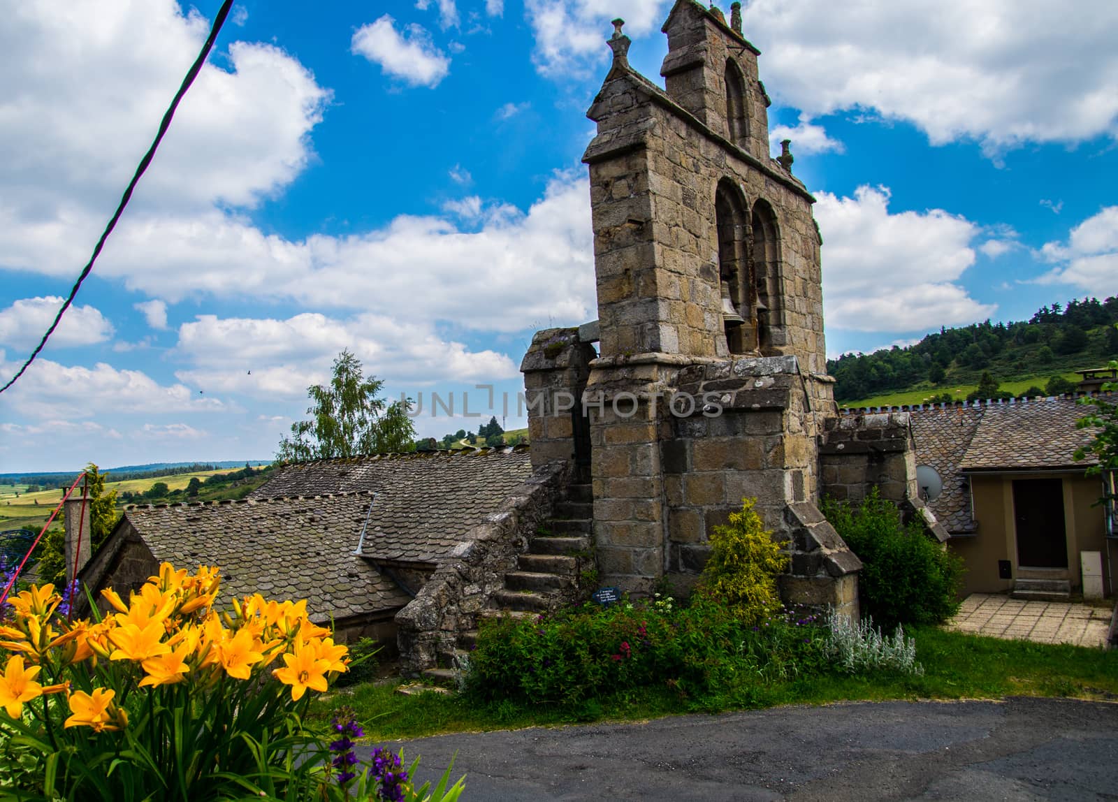 massif of the daisy in lozere