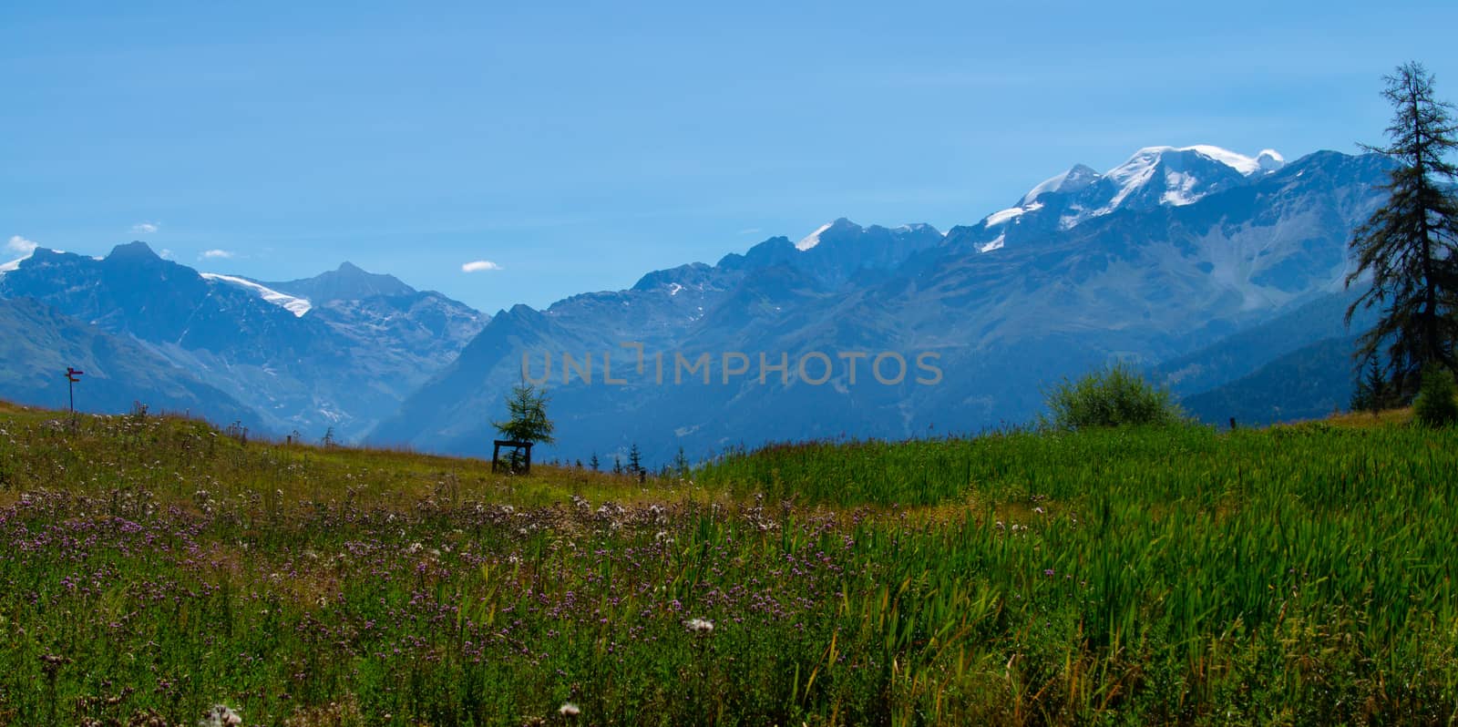 landscape in the Swiss Alps in Valais by bertrand