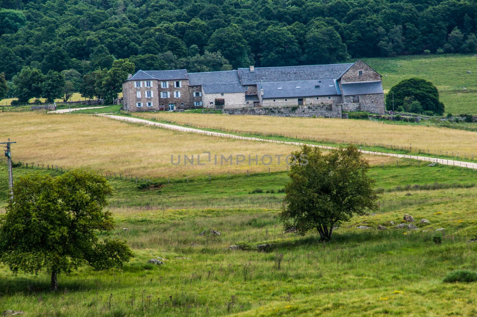 field of the wild in high Loire in Auvergne